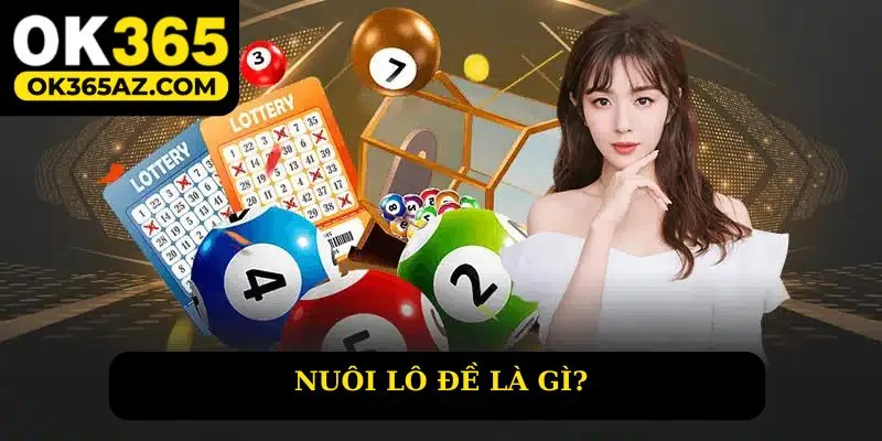 Tìm hiểu khái niệm về nuôi lô đề