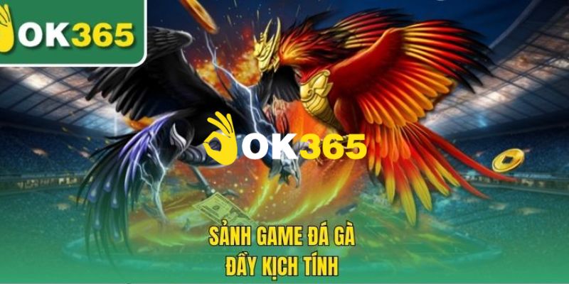 Ok365 | Trang Chủ Nhà Cái Ok365.com Uy Tín #1 | Đăng Ký +65K 18 Chuyên mục đá gà hấp dẫn đỉnh cao 2026